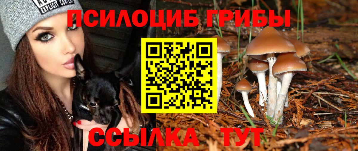 Псилоцибиновые грибы MAGIC MUSHROOMS Россошь