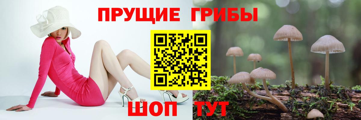 Псилоцибиновые грибы Magic Shrooms  Вход с VPN  Россошь  Псилоцибиновые грибы Cubensis 