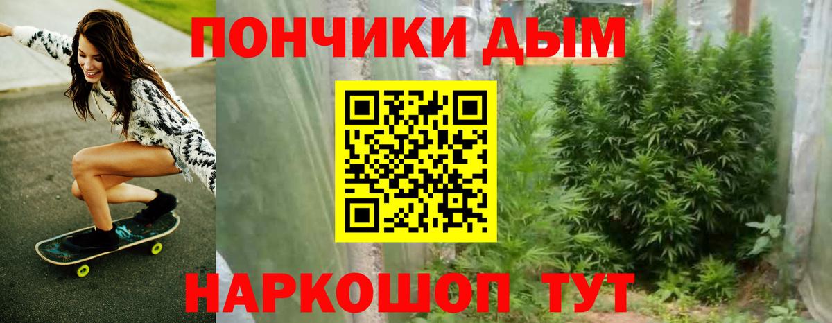 Каннабис сатива Россошь